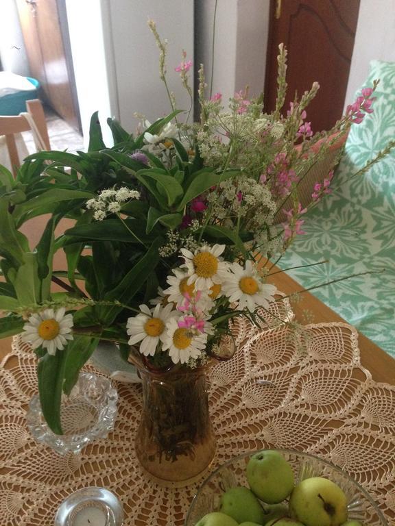Eco Garten Guest House ชโคเดอร์ ภายนอก รูปภาพ