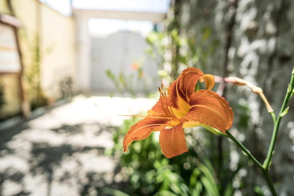 Eco Garten Guest House ชโคเดอร์ ภายนอก รูปภาพ